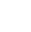 Lightning-Fast Execution